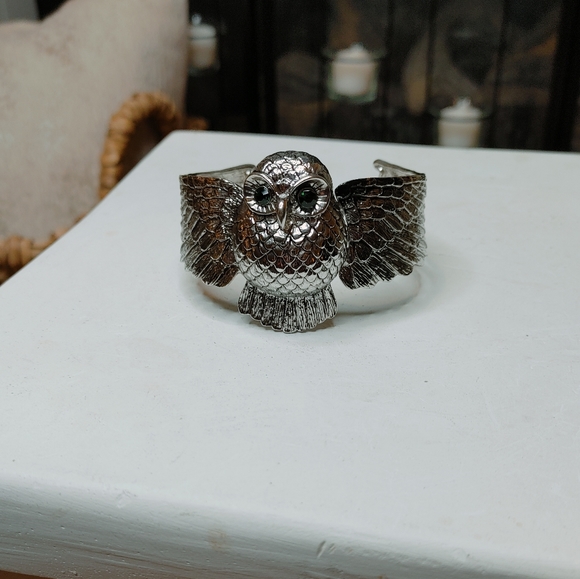 PROTECTION & WISDOM OWL HINGED BANGLE BRACELET - Picture 3 of 7
